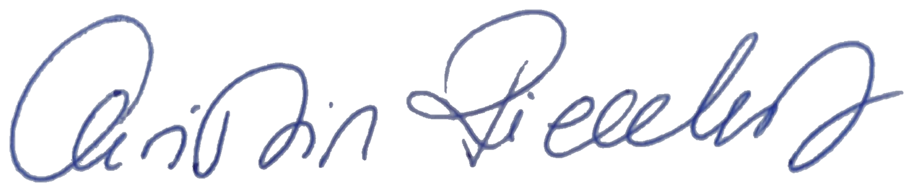 Unterschrift von Christin Riechert